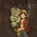 MrDplant