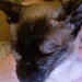 User photo