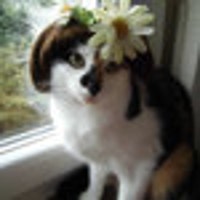 AmyJanetsBookmarks