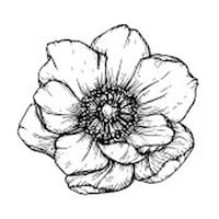 boneandbloom