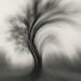 Image Bending