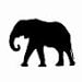 TheBlack Elephant avatar