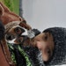 Buyer Avatar
