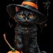 Binx Epic Designs