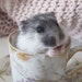 FluffeyAtelier