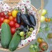 Green Goddess Plants and Seeds