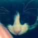 Buyer Avatar