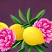 PeonyandLemon