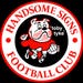HandsomeSigns