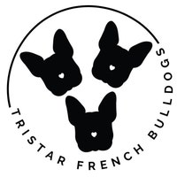TristarFrenchies