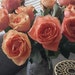 anushkastar_image