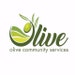 Olive Rack