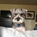 Buyer Avatar