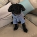 Buyer Avatar