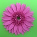 Buyer Avatar