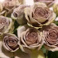 ClassicDesignShoppe