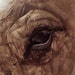 Ruth Winding Art
