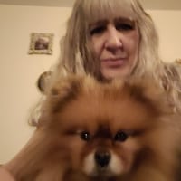 MyStuffPetStuff