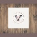 All Paws Designs