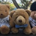 CraftCubsSupplies