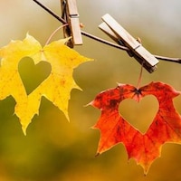 PerfectWeddingLove