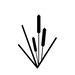 Reeds Of Hope