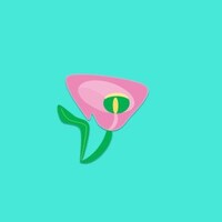 CallaCreationsCanada