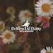 DriftwoodDaisyBnB