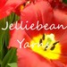 JelliebeanYarns