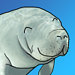 MisterManatee