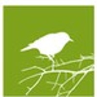 sparrowgraphic