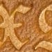Xavier_image