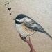 Buyer Avatar