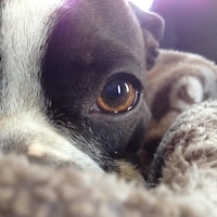EarthlieTreasures