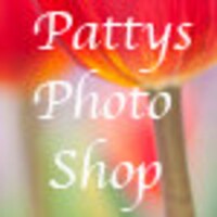 PattysPhotoShop