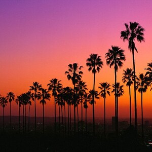 Je Ne Regrette Rien, Edith Piaf Quote, I Regret Nothing, Modern Bedroom