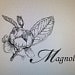 WholesaleMagnolia