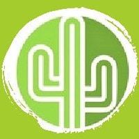 ChromeCactusBoutique