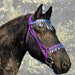 hpfarmandtack