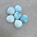 GemRoots