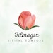 filmagix