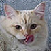 Buyer Avatar
