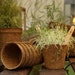 CoirProducts.co.uk