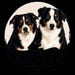 TheCheekyPupDesigns