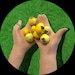 Buyer Avatar