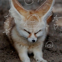 FennecFoxCreationsNL