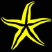 ICDesignsStudio