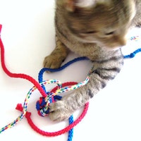 CurlyGirlCrochet