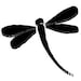 dragonflytreasure