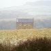 Bakers Farmhouse avatar